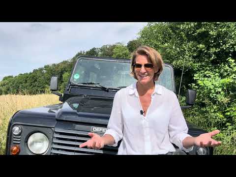 Tu das, wenn dein Pferd unterm Sattel blockiert