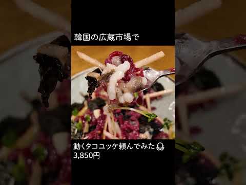 youtube-旅・海外記事2026/01/29 22:24:47