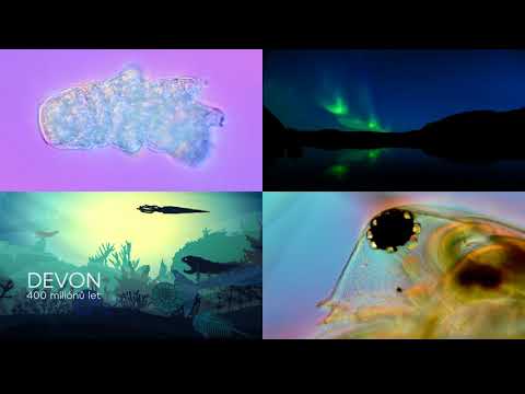 Ze života fotografa