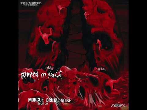 BRUTAL NOISE - RIPPED IN HALF (FULL ALBUM 2007)