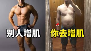 [問題] 過了蜜月期後的增肌減脂