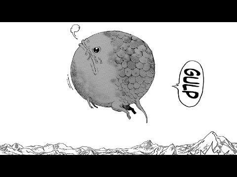 TORIKO CHAPTER 369 LIVE REACTION