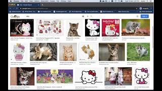 Download lagu CS50Web - Project 0 - Search mp3