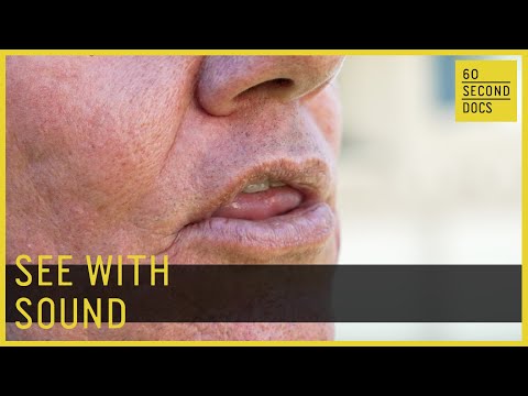 Human Echolocation Training | Daniel Kish