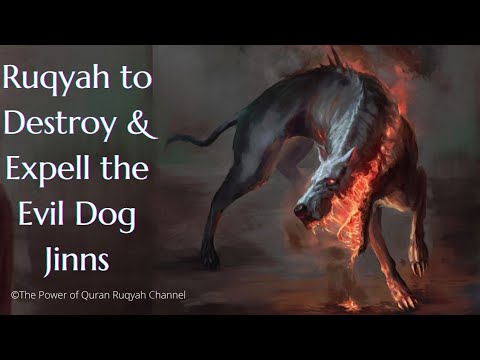 Ultimate Ruqyah to Destroy and Expell the Evil Dog Jinns from the body,house and dreams