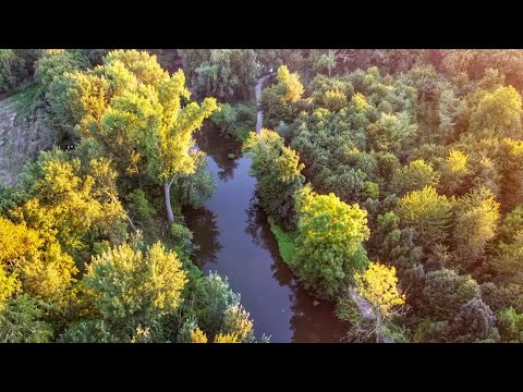 Karpfenangeln VTB 90 - Eine kurze Nacht am kleinen Fluss