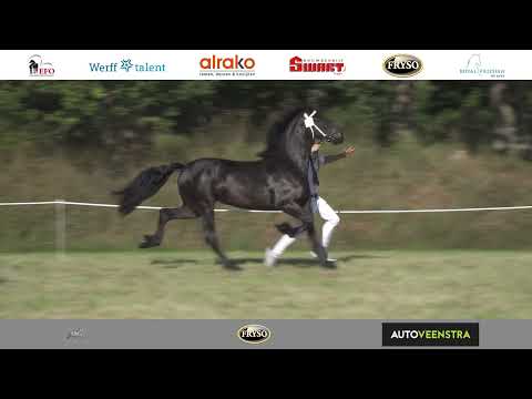 Baan 2 | Fokdag Ta it Bihâld | 23 Juli 2022