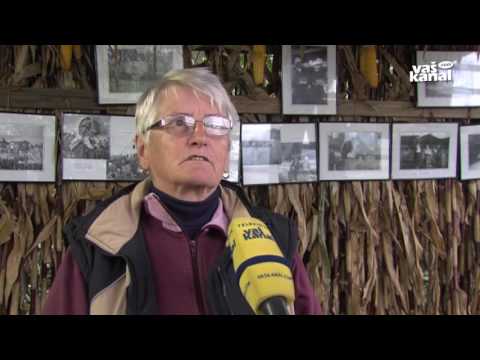 Negujejo ličkanje koruze