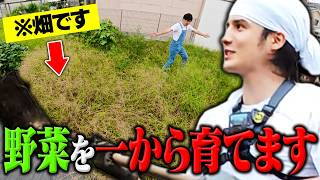【畑企画】スタンミ、農業を本気で始めます！