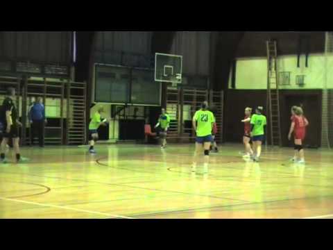 19. KROG - 2014/2015: 1.A DRL - ŽENSKE: ŽRK CELJE CELJSKE MESNINE