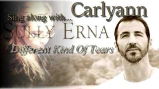 Sing Along With Sully Erna || Different Kind Of Tears