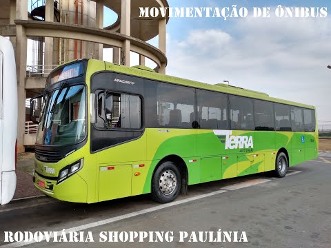 Paulínia video