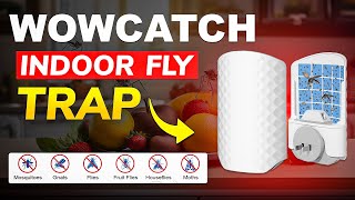 GET the BEST INDOOR FLYING INSECT TRAP FROM WOWCATCH | THE DYNAMIC FAMILY
