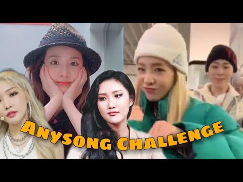 Zico x Chungha x Dara x Hwasa // Any Song Challenge