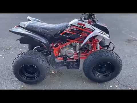 KAYO 150 QUAD Raging Bull DELIVERY WARRANTY XMAS - Image 2