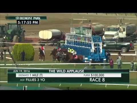 Ancient Secret - 2016 Wild Applause Stakes