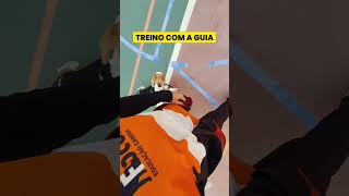 Pare de puxar! Seu cão não nasceu sabendo andar na guia