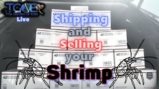 Shipping and Selling Shrimp