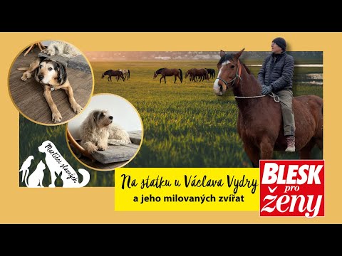 Návštěva u Václava Vydry: Příběhy jeho koňských lásek i pejsků z útulků vás dojmou!