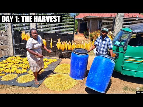The Smart Way We Store Our Harvest! 🌽 Small Changes to My Village Kitchen ✨