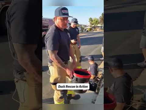 Best Acts of kindness #fyp #usa #unitedstates