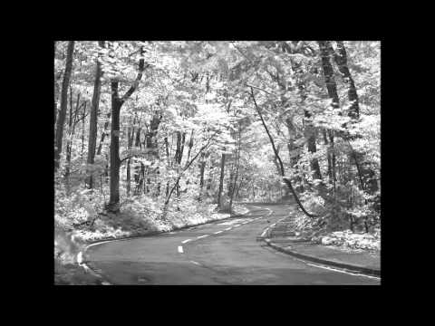 Shaman ft. Caroline ft. Ozanostra - Milijonas priežasčių (Lyrics)