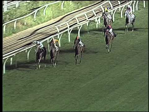 Galoppo 08/07/2015 - 5° corsa