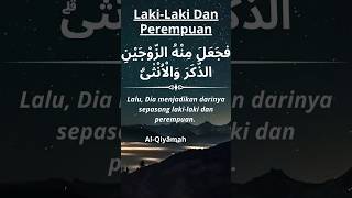 Download lagu Allah Yang Menciptakan Laki-laki Dan Perempuan. Al-Quran Surah Al-Qiyamah Ayat 39. mp3 Download lagu Allah Yang Menciptakan Laki-laki Dan Perempuan. Al-Quran Surah Al-Qiyamah Ayat 39. mp3
