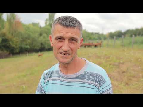 Zoran Mićić, Kličevac I Koza Nostra kozari