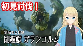 【サンブレイク】ランス ソロ 初見討伐 ゴランゴルム  最後に使用装備紹介を少し