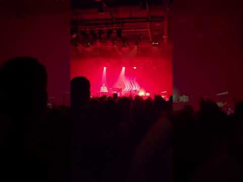 MIA live. Mein hungriges Herz