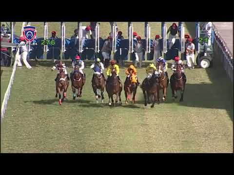 RM27 R6 | Lunafacation | N.S.Batchameah