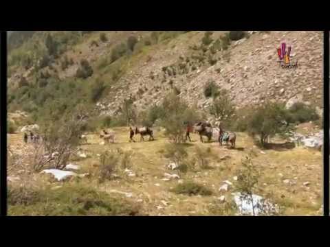 Con gli asini sulle antiche vie del sale