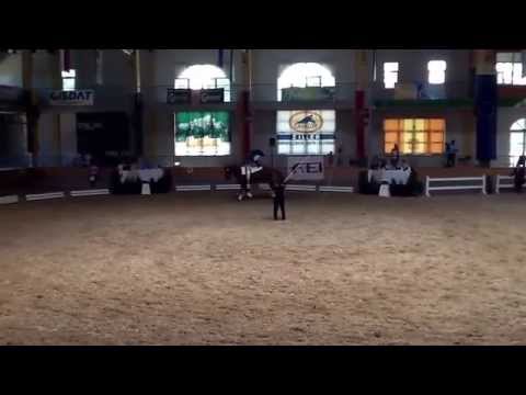 CVIO Stadl Paura 2014 - Daniel Kaiser - Freestyle