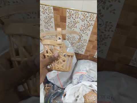 Plastic beige dog muzzle, for clinic purpose