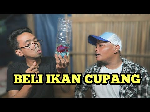 ngakak-bareng-bekatul-ikan-cupang-mewah-betta-fish-sale