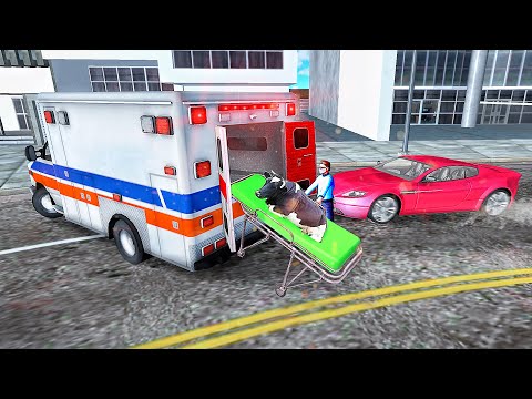 Ambulance Animals in Crazy Emergency New (2020)