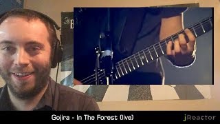 Gojira - In The Forest (live) REACTION!