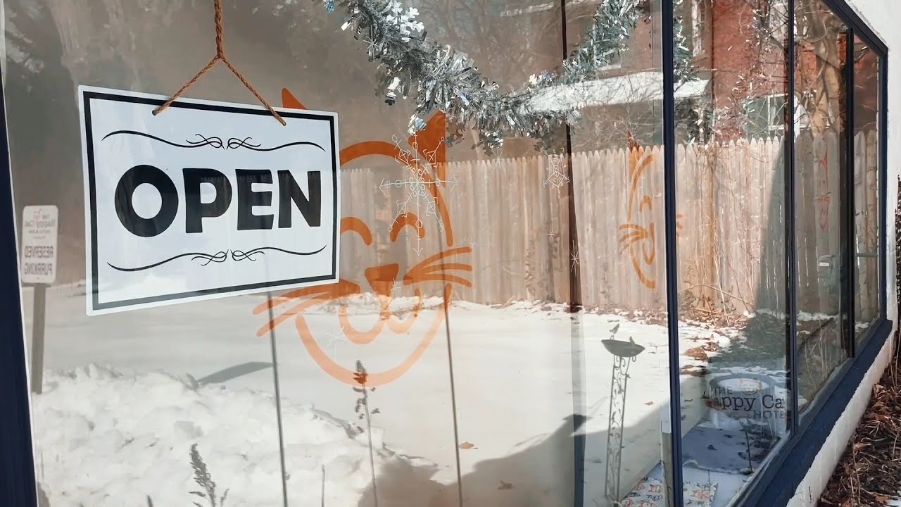 Happy Cat Hotel Franchise FAQ