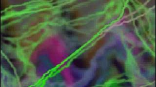 Shiva Chandra - Turn about