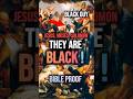 Was Jesus REALLY Black The 1 Thing Churches Don T Want You To Know