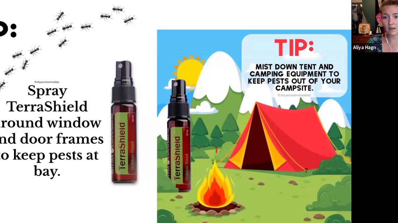 Summer Essentials Class