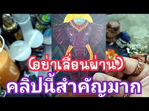 🔮✨️ Don't scroll past! This clip is very important!✨️🔮#tarotcards #gypsycards #fortunetellerChule...