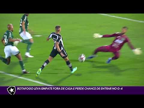 Botafogo 1 x 1 Guarani - 2021