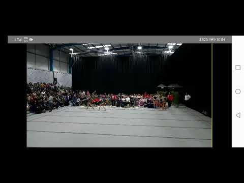 2020 Spelthorne Acrobatic Cup