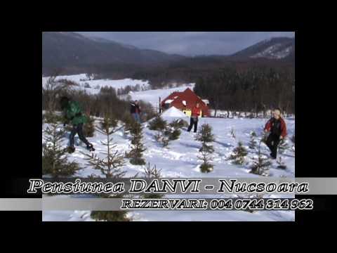 Pensiunea DANVI - Nucsoara - Arges - Romania.wmv