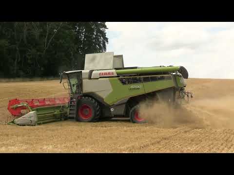 Erntestart 2023: Wintergerste dreschen mit einem nagelneuen Claas Lexion 6700