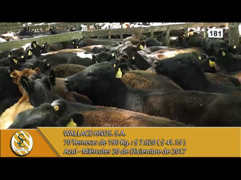20-12-17 Venta de Hembra - Wallace Hnos. S.A. - Azul