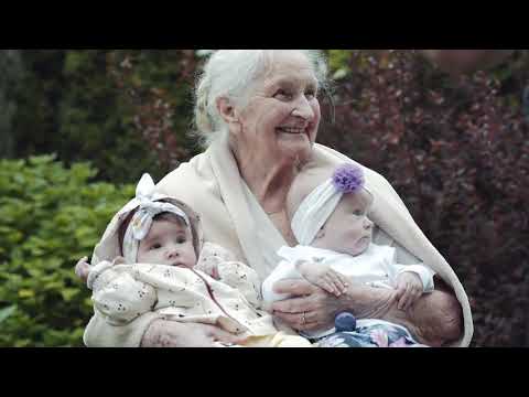 Sējānu dzimta - Dzimtu ģerboņi mūsdienu Latvijā