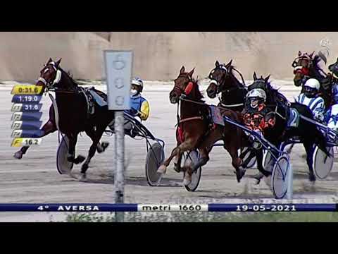 Aversa trotto 19 Maggio 2021 - 4° Corsa